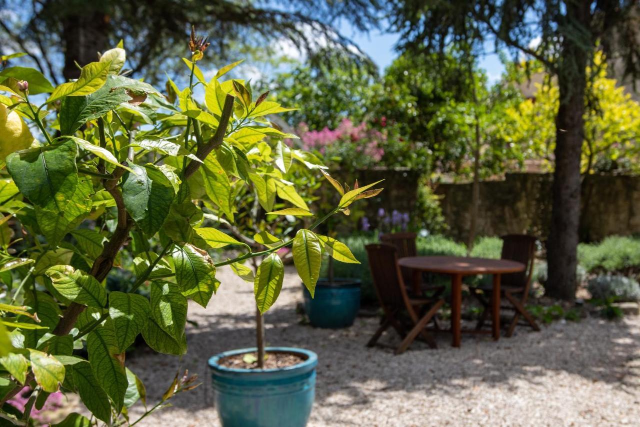 Le Jardin De Mazan Panzió Kültér fotó